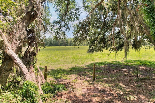 8825 Selph Rd, Lakeland, FL 33810 - photo 70