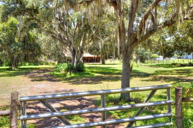 8825 Selph Rd, Lakeland, FL 33810 - photo 71