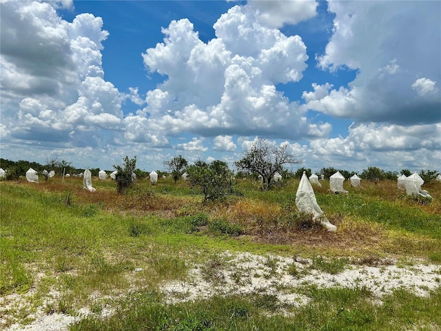 2600 E Oak Island Rd, Avon Park, FL 33825 - photo 1