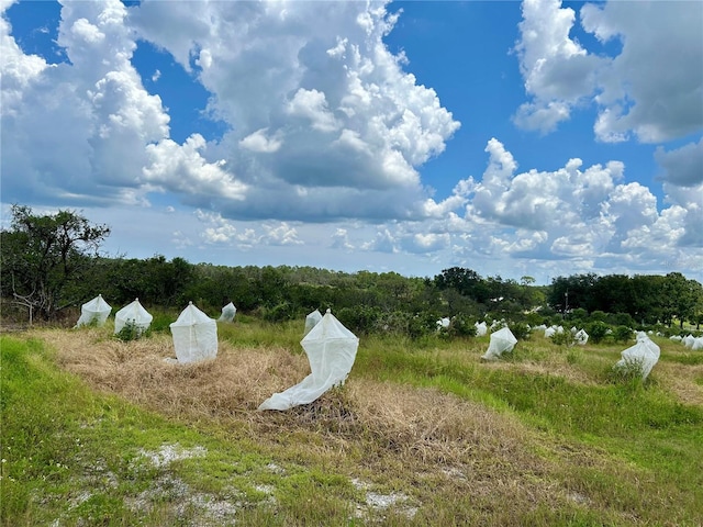 2600 E Oak Island Rd, Avon Park, FL 33825 - photo 2