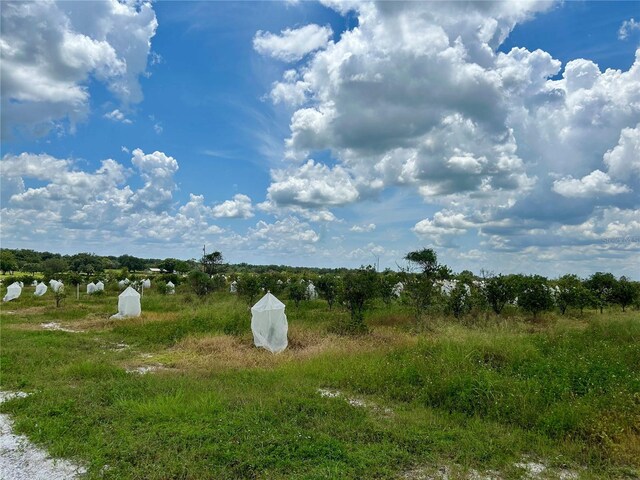 2600 E Oak Island Rd, Avon Park, FL 33825 - photo 4