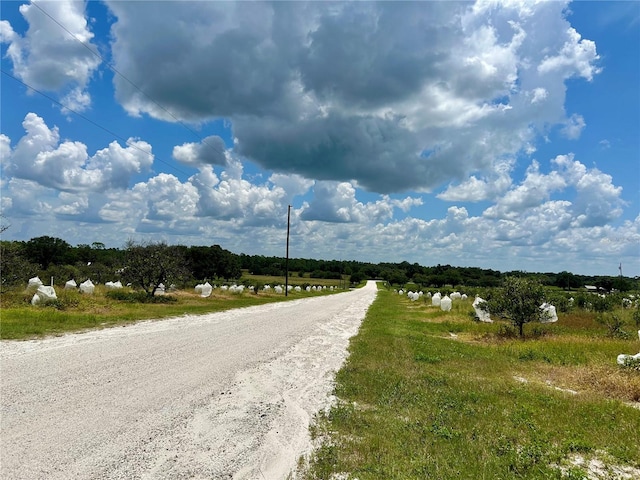 2600 E Oak Island Rd, Avon Park, FL 33825 - photo 12