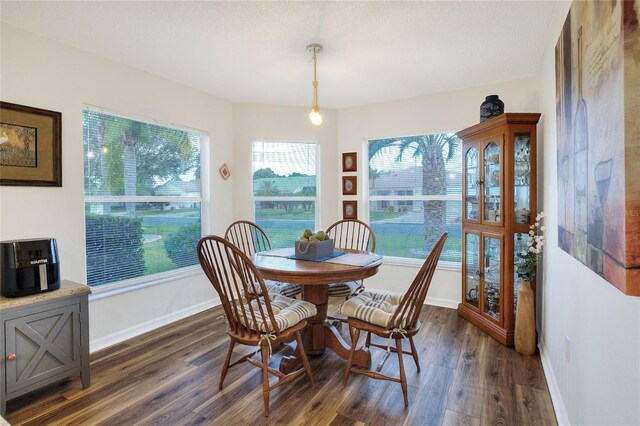 6047 Magpie Dr, Lakeland, FL 33809 - photo 15