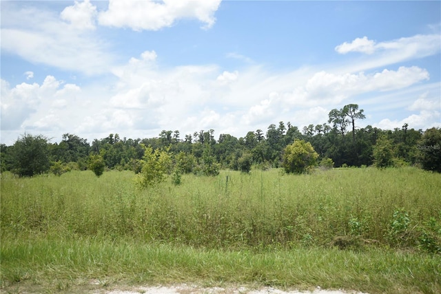 0 Hancock Rd, Lakeland, FL 33810 - photo 6