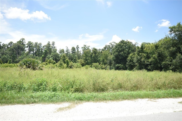 0 Hancock Rd, Lakeland, FL 33810 - photo 11