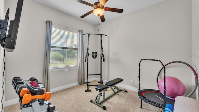 7107 Highlands Creek Ave, Lakeland, FL 33813 - photo 22