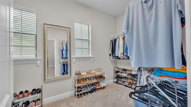 7107 Highlands Creek Ave, Lakeland, FL 33813 - photo 36