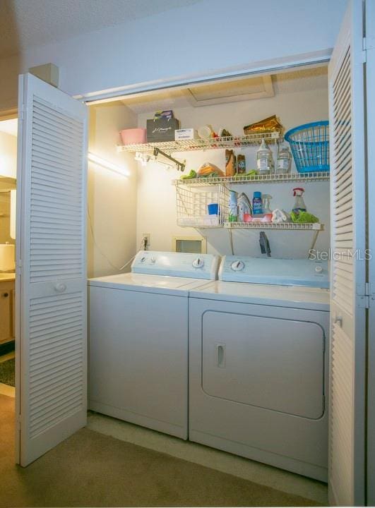 3280 37th Way S Unit B, Saint Petersburg, FL 33711 - photo 25