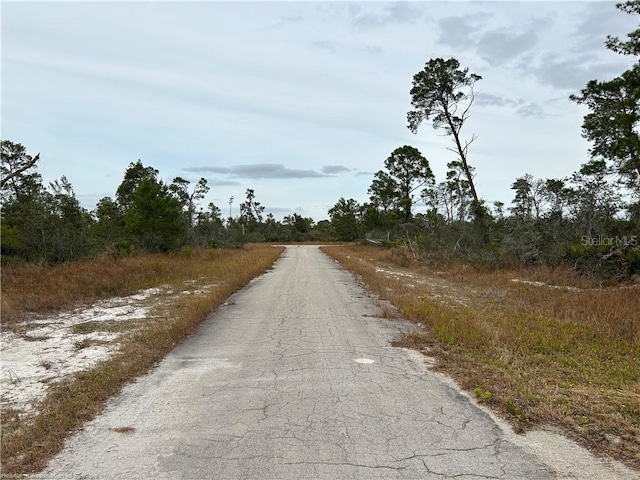 116 Key Largo Ct NE, Lake Placid, FL 33852 - photo 4