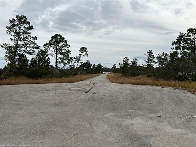 116 Key Largo Ct NE, Lake Placid, FL 33852 - photo 5