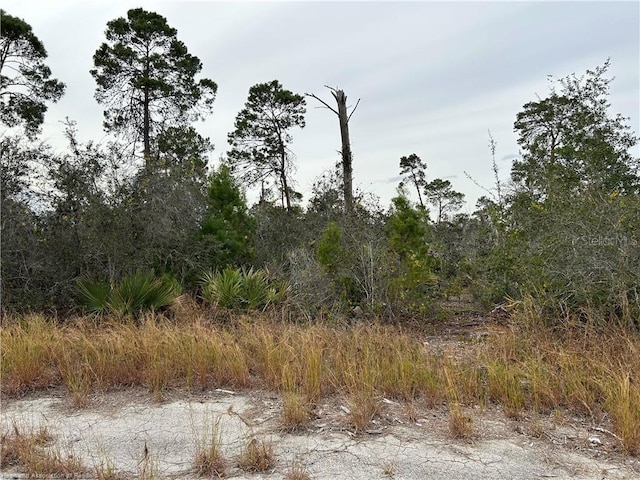 116 Key Largo Ct NE, Lake Placid, FL 33852 - photo 6