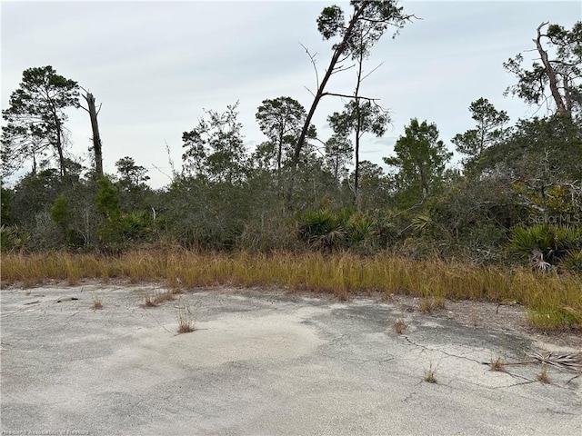 116 Key Largo Ct NE, Lake Placid, FL 33852 - photo 7