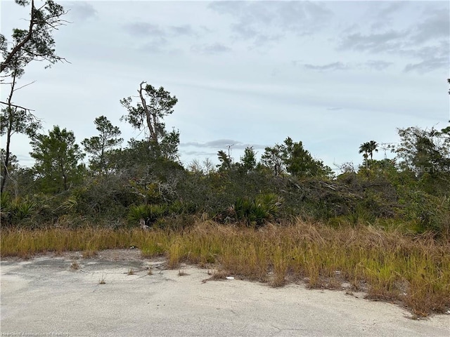 116 Key Largo Ct NE, Lake Placid, FL 33852 - photo 8