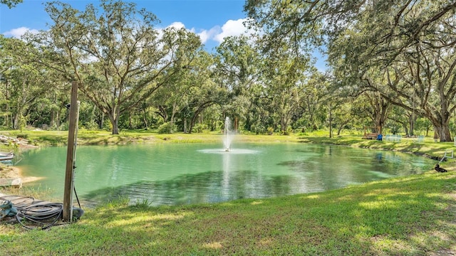 4736 Bridle Path Dr, Lakeland, FL 33810 - photo 37