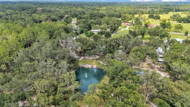 4736 Bridle Path Dr, Lakeland, FL 33810 - photo 39