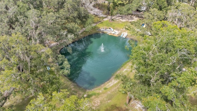 4736 Bridle Path Dr, Lakeland, FL 33810 - photo 40