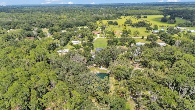 4736 Bridle Path Dr, Lakeland, FL 33810 - photo 42