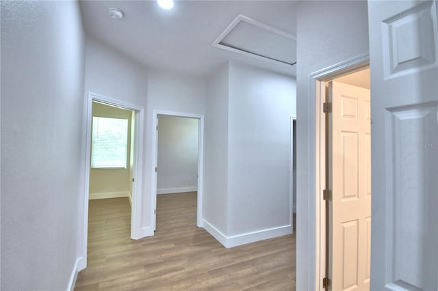 1777-1779 E Martin Luther King Jr Blvd, Bartow, FL 33830 - photo 62