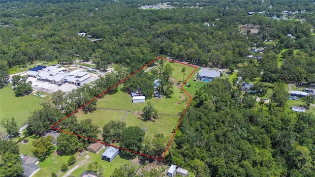 4440 Homewood Ln, Lakeland, FL 33811 - photo 69