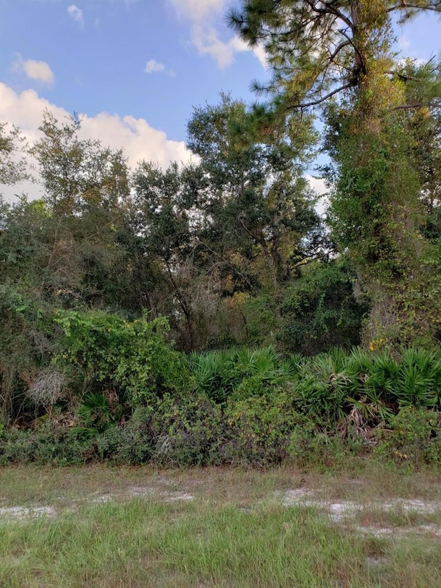 21035 Hillsborough Blvd, Port Charlotte, FL 33954 - photo 18