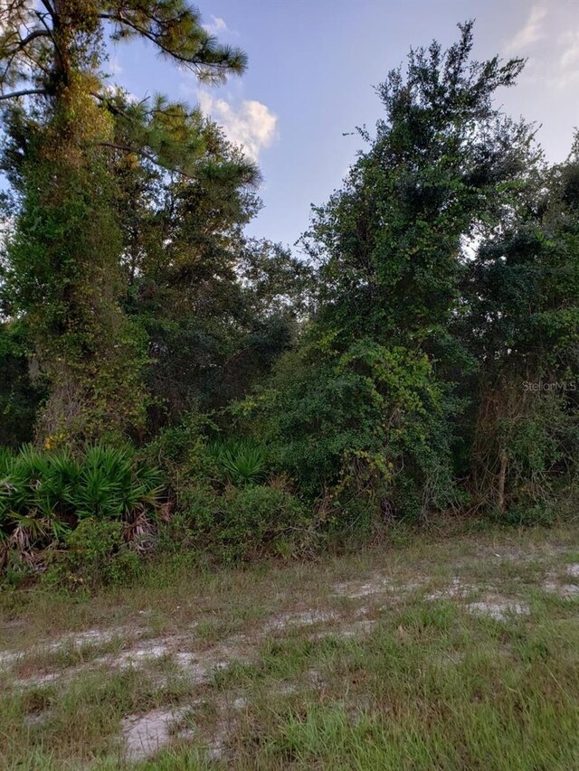 21035 Hillsborough Blvd, Port Charlotte, FL 33954 - photo 19
