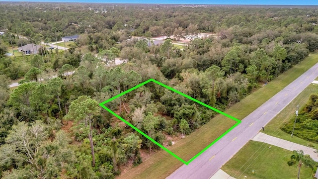 21035 Hillsborough Blvd, Port Charlotte, FL 33954 - photo 4