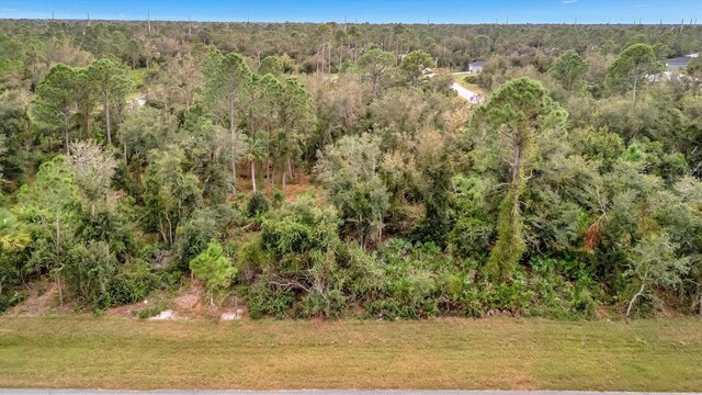 21035 Hillsborough Blvd, Port Charlotte, FL 33954 - photo 7