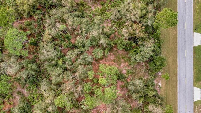 21035 Hillsborough Blvd, Port Charlotte, FL 33954 - photo 16