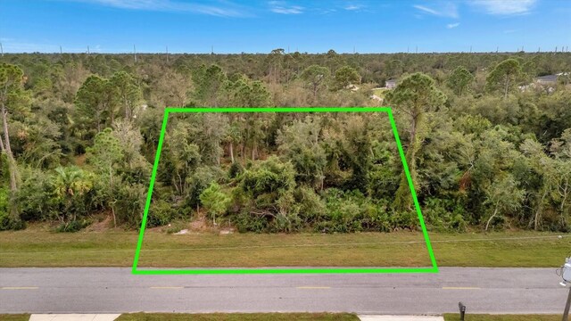 21035 Hillsborough Blvd, Port Charlotte, FL 33954 - photo 1
