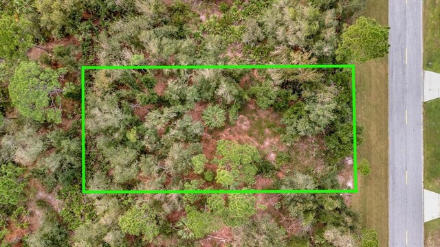 21035 Hillsborough Blvd, Port Charlotte, FL 33954 - photo 3