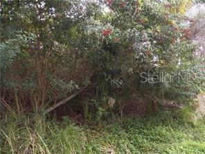 Geneva Rd, Venice, FL 34293 - photo 1