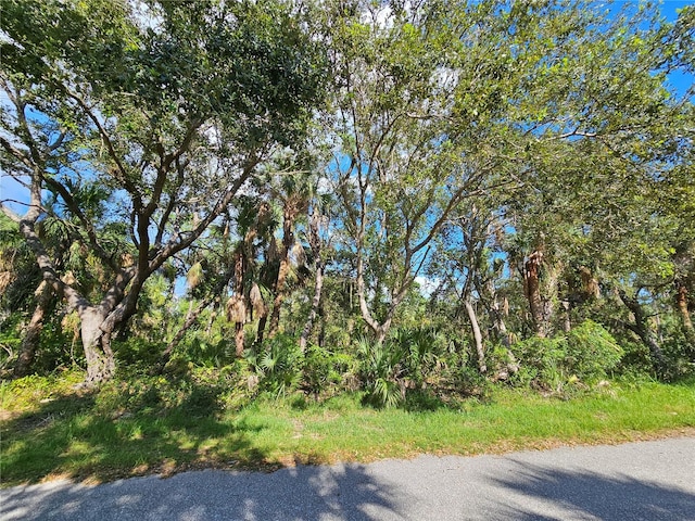 3286 Century St, Port Charlotte FL, 33948 land for sale