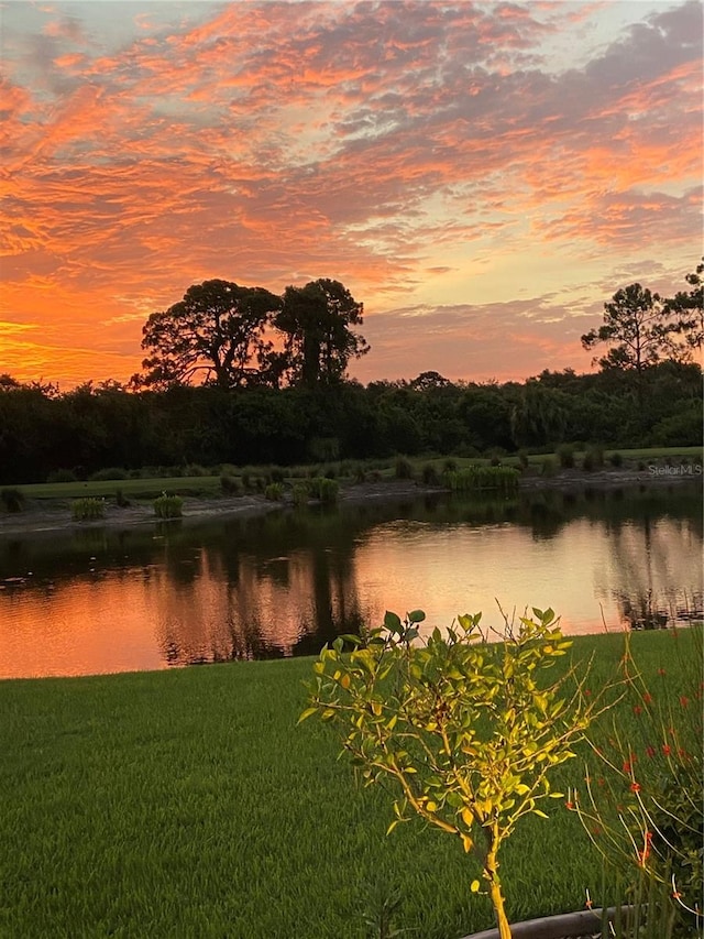 property view of water