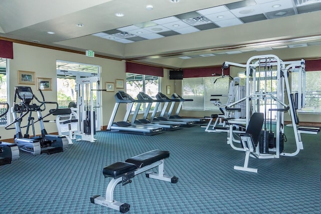 exercise room with carpet and a healthy amount of sunlight