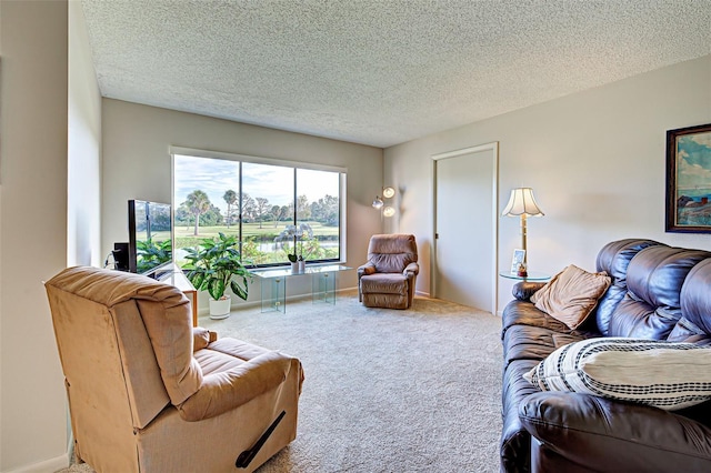 living room with carpet floors and a textured ceiling