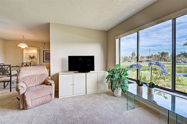 living room featuring carpet and a textured ceiling