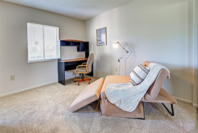 office with light colored carpet and a textured ceiling