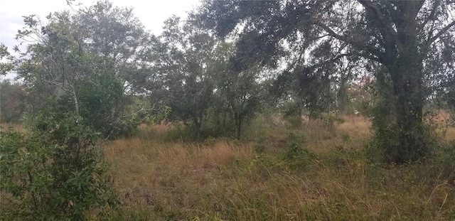 1775 NE Cross Ave, Arcadia, FL 34266 - photo 2