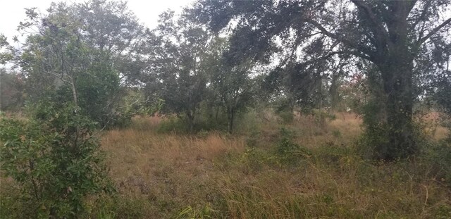 1775 NE Cross Ave, Arcadia, FL 34266 - photo 5