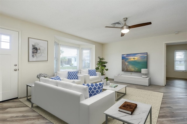 living room featuring hardwood / wood-style flooring, a textured ceiling, and ceiling fan