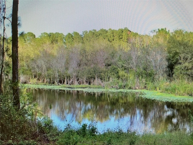 LOTA,B,C,D,E,F Narcissus Terrace, North Port, FL 34286 - photo 19