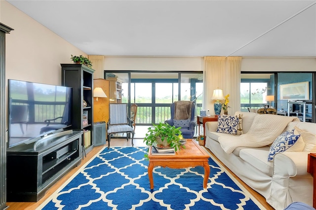 living room with light wood-type flooring