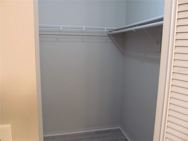 spacious closet with wood-type flooring