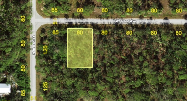 13069 Woolard Ave, Port Charlotte FL, 33953 land for sale