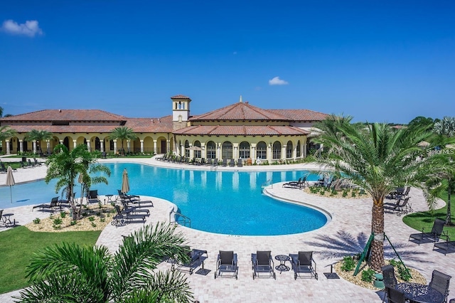 view of pool with a patio area