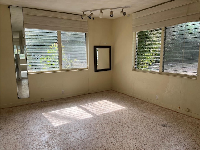 empty room with plenty of natural light, track lighting, and light carpet