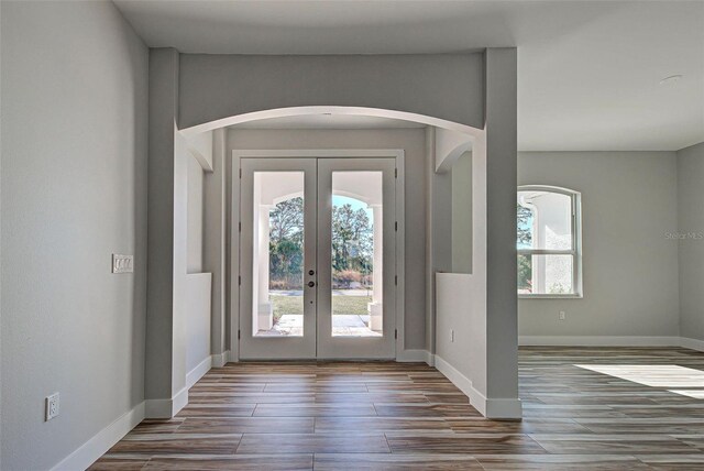 foyer with dark hardwood / wood-style flooring, french doors, and a wealth of natural light