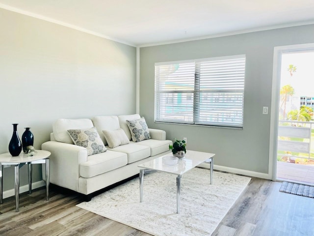 living room with crown molding and hardwood / wood-style flooring