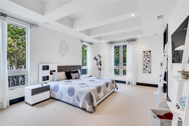 carpeted bedroom with a tray ceiling