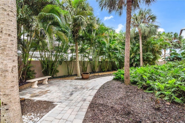 view of yard with a patio area